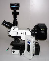 میکروسکوپ متالوژی | متالورژی